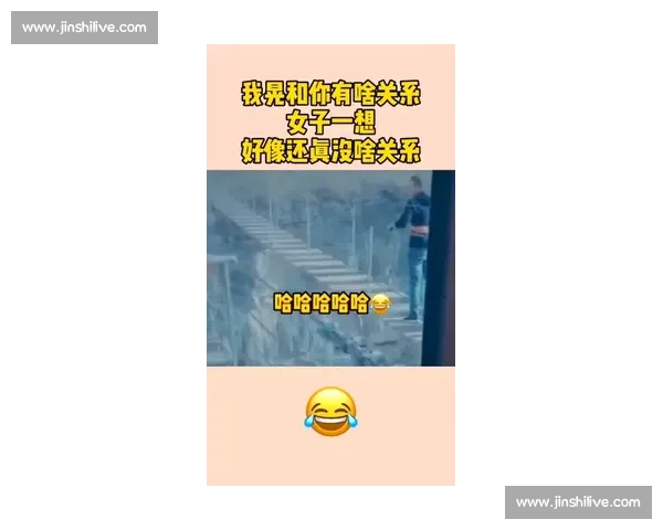 被晃倒的勋章：认真者的注脚